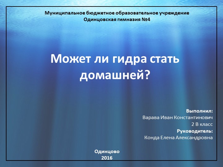Кракен онион даркнет площадка