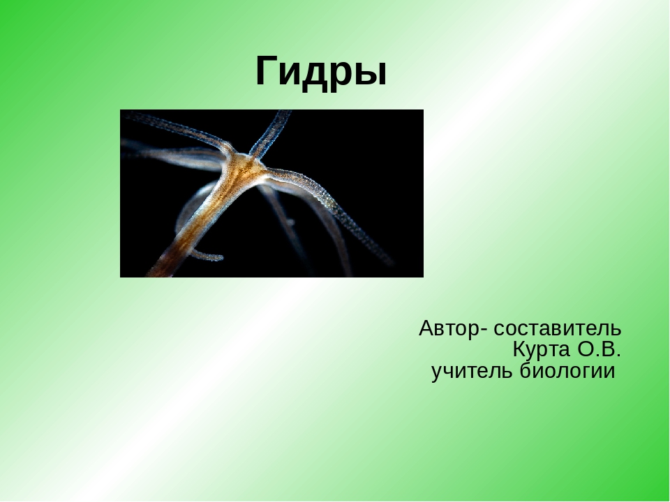Кракен площадка vk2 top
